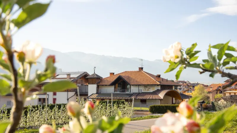 Anteprima di Agritur Golden Pause