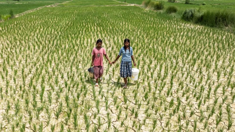 Anteprima di UNICEF - Children’s Rights e Emergency Relief Organization